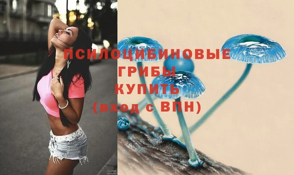 крисы Иннополис