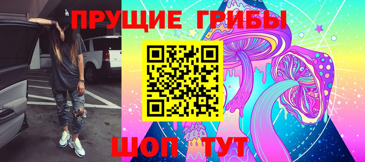 Галлюциногенные грибы Psilocybine cubensis Карпинск