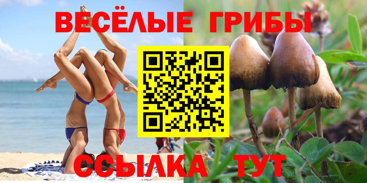 Карпинск  Галлюциногенные грибы Psilocybe  Вход с VPN 